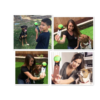 Selfie Stick, Sound Tennis Ball, Dog Toy