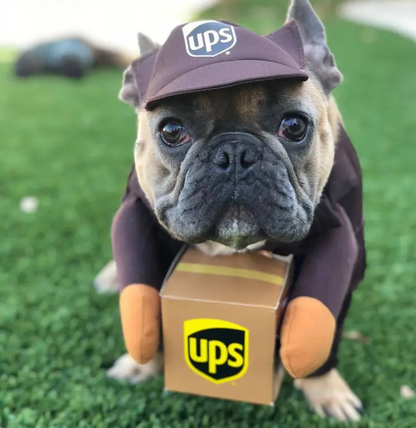 Ups Costume