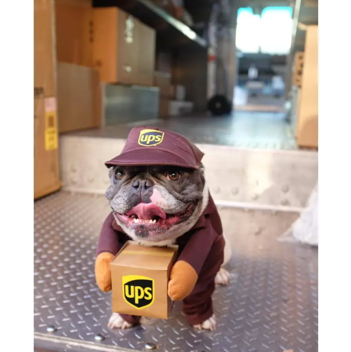 Ups Costume