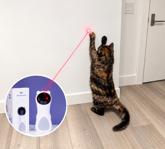 Cat playing with the Zoomies Interactive Laser Bear Toy